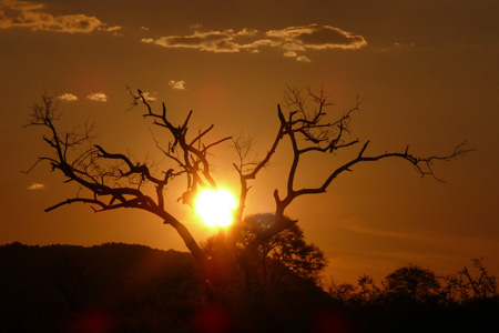 African Sunset