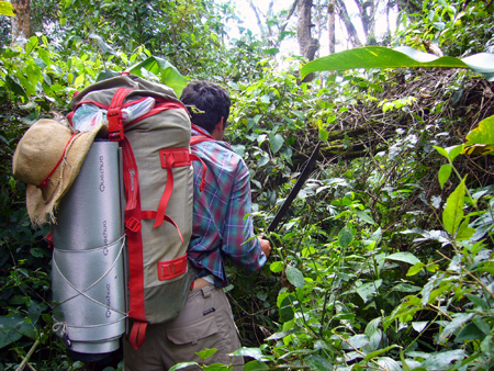 No trail most of the way, our guide had to cut a trail through the jungle.